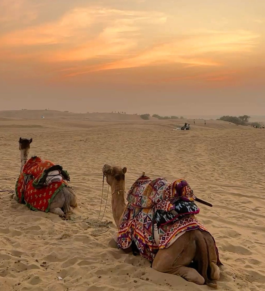 Outstation Taxi Services from Udaipur: Easy Travel to Rajasthan and Gujarat